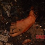 Tácila Oliveira Rodrigues dos Santos