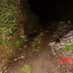 Tácila Oliveira Rodrigues dos Santos