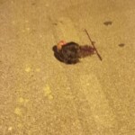 19-year-old biker lost his head in accident