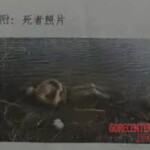 Drowned Chinese woman