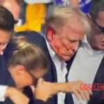 Assassination attempt on Donald Trump