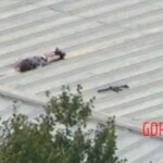 Dead photo of Thomas Matthew Crooks