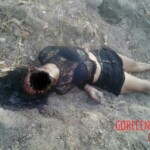 Maria de Fátima Teixeira