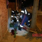 Tayanara Gabriele Pereira