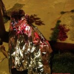 Tayanara Gabriele Pereira