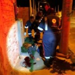 Tayanara Gabriele Pereira