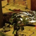 Tayanara Gabriele Pereira