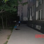 Female suicide jumper