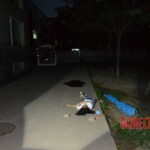 Female suicide jumper