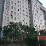 Female suicide jumper