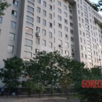 Female suicide jumper