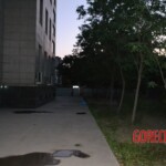 Female suicide jumper