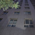 Female suicide jumper