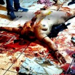 Denisse Esperanza Sulecio Marcos