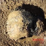 Denisse Esperanza Sulecio Marcos