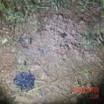 Denisse Esperanza Sulecio Marcos