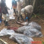 Massacre in DR Congo