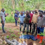 Massacre in DR Congo