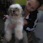 Cristina Marino Padual