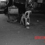 Cristina Marino Padual