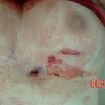 Jenilde Andrada Santos