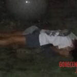 Prostitute beaten to death