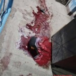 Jerome Dumayug Dumanggad