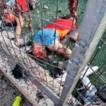 Lebanese rocket killed 12 Israelis on football pitch