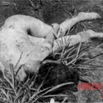 Dead woman in pantyhose