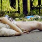 Handmade Software, Inc. Image Alchemy v1.12 Dead woman