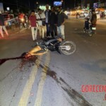 Motorcyclist's brain splattered on the road