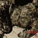 Victim of Ladislav Hojer