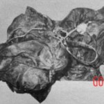 Victim of Ladislav Hojer