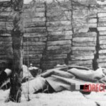 Ivana M. - Victim of Ladislav Hojer