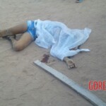 Leidiane Sousa Guimarães