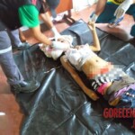 Maria das Dores dos Santos