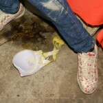 Maria do Socorro Carvalho de Lima