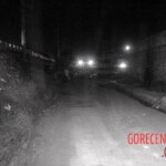 Female shot dead in Manila