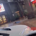 Female suicide jumper