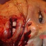 Young beauty died in car crash