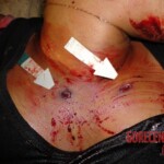 Aline Maiara Gomes da Silva