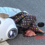 Ran over Chinese woman