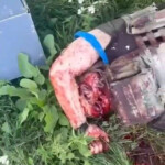 Dead Ukrainian soldier