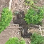 Dead Ukrainian soldier