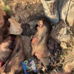 Killed ISIS terrorist