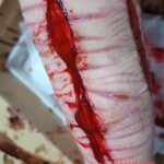 Japanese girl self-harm