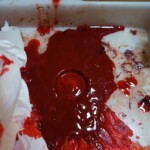 Japanese girl self-harm