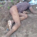 Kicked to death by donkey