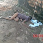 Kicked to death by donkey