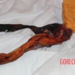 Dee Dee Blanchard crime scene photo